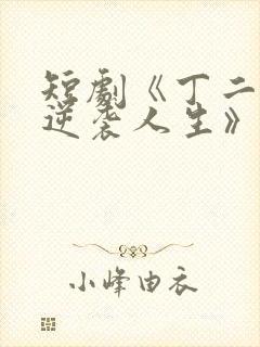 短剧《丁二狗的逆袭人生》免费观看