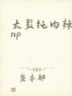 太监纯肉辣重口np