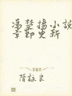 冯楚扬小说最新章节更新