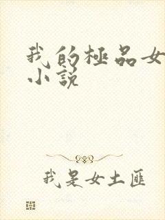 我的极品女老师小说