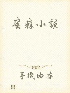 蜜瘾小说