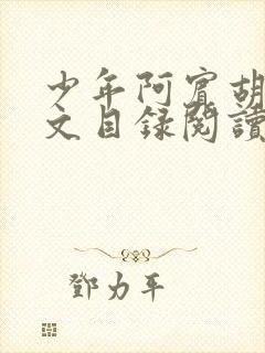 少年阿宾胡太全文目录阅读在线