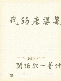 我的老婆是军阀