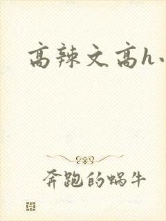 高辣文高h小说