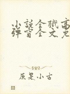 小说全职高手无弹窗全文免费阅读