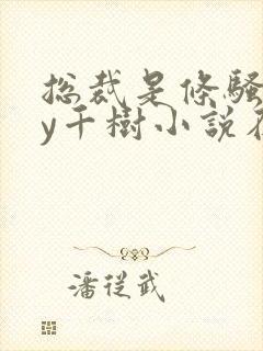 总裁是条骚狗by千树小说在线阅读最新