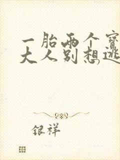 一胎两个宝老婆大人别想逃