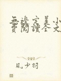 无边完美小说免费阅读全文最新章节