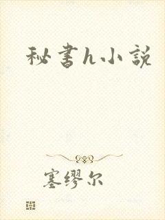 秘书h小说