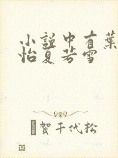 小说中有叶辰孙怡夏若雪
