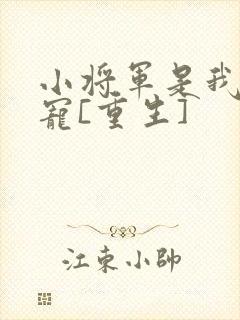 小将军是我心尖宠[重生]封面