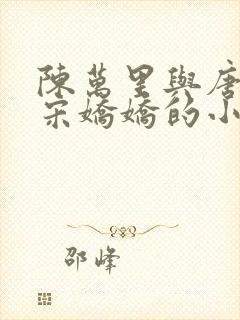陈万里与唐嫣然宋娇娇的小说叫什么