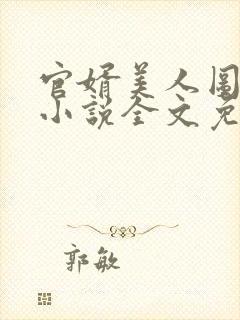 官婿美人图安江小说全文免费阅读