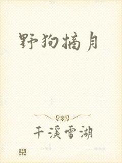 野狗摘月封面