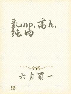 乱np,高h,纯肉封面