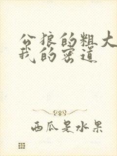 公狼的粗大挺进我的密道