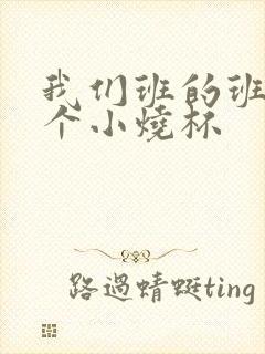 我们班的班花是个小烧杯
