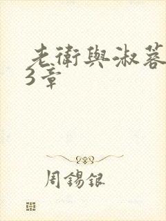 老卫与淑蓉第13章封面