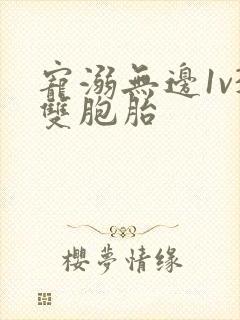宠溺无边1v3双胞胎
