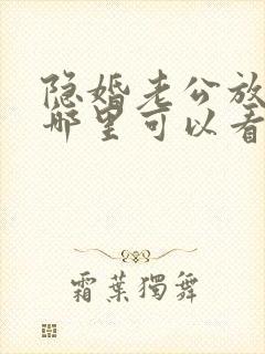 隐婚老公放肆宠哪里可以看封面