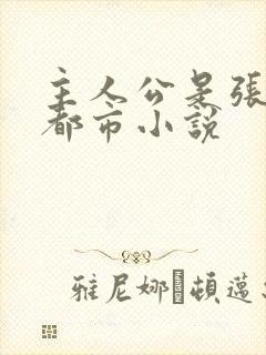 主人公是张凡的都市小说