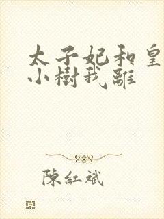 太子妃和皇上在小树我离封面