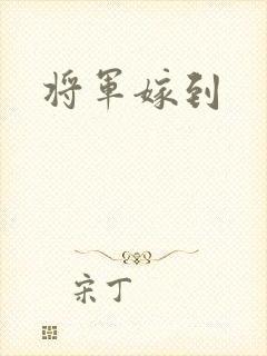 将军嫁到