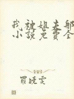 我被姐夫那些年小说免费全文阅读封面