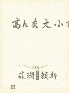 高h爽文小说封面