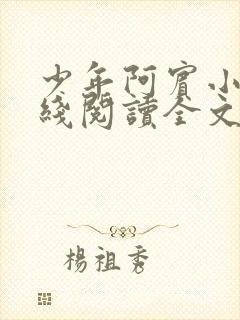 少年阿宾小说在线阅读全文无删减封面