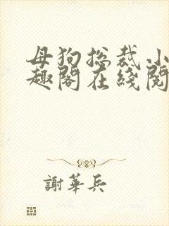 母狗总裁小说笔趣阁在线阅读封面