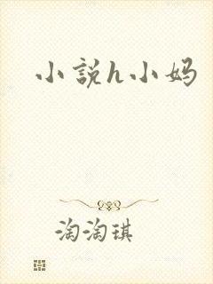 小说h小妈