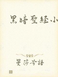 黑暗圣经小说