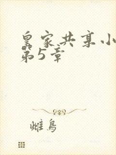 皇家共享小公主第5章封面