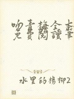 吻青梅全本小说免费阅读笔趣阁封面
