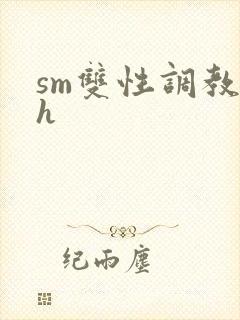 sm双性调教高h