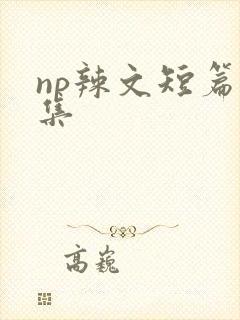 np辣文短篇合集