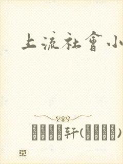 上流社会小说