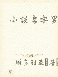 小说名字男生封面