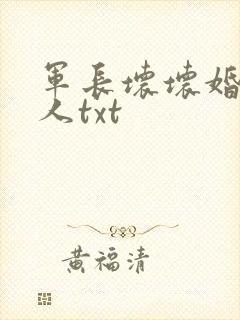 军长坏坏婚宠撩人txt