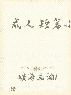 成人 短篇小说