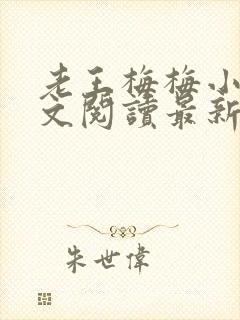 老王梅梅小说全文阅读最新章节更新