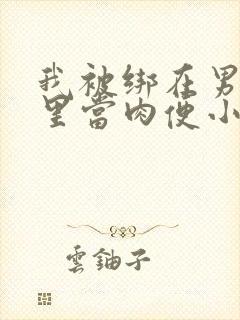 我被绑在男公厕里当肉便小说