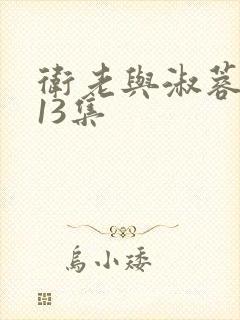 卫老与淑蓉1一13集