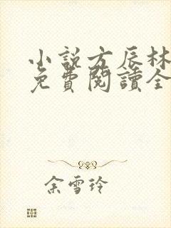 小说方辰林雪妍免费阅读全文