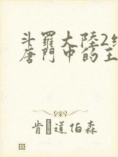 斗罗大陆2绝世唐门中的王冬