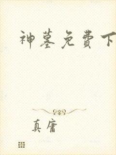神墓免费下载封面