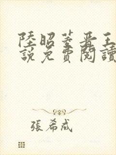 陆昭菱晋王的小说免费阅读