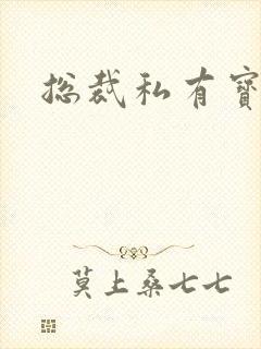 总裁私有宝贝