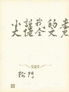 小说我的老公是大佬全文免费阅读